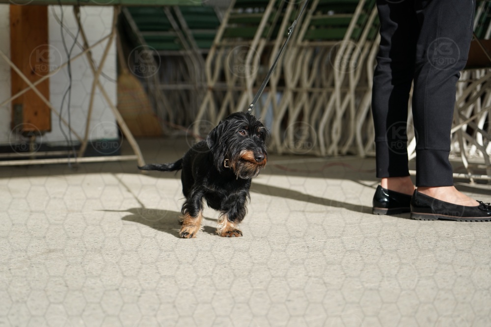 s_A9_00041.jpg